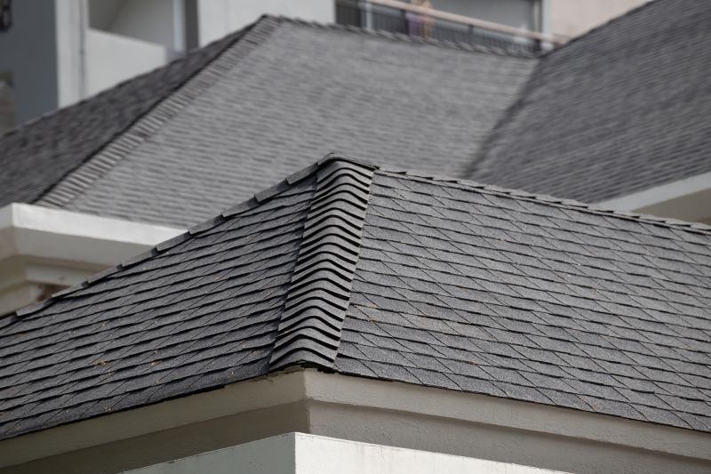 Specialized Roofing Services